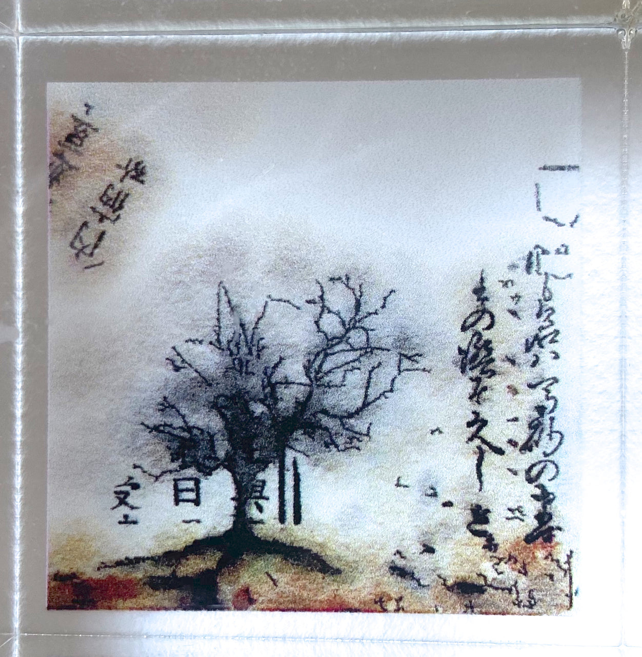 Sepia Tree Print Acrylic Block