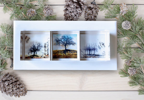 3 Natural Tree Prints in Acrylic presented in a White Corian Tray